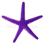 Adorno Acuario Pecera Estrella de Mar Fluorescente