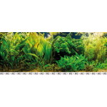 Lámina fondo pecera 40x30 cm New Pet