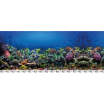 Lámina fondo pecera 50x35 cm New Pet Azul