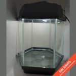 Pecera Hexagonal Nro 4 con base, tapa y luz