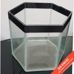 Pecera Hexagonal Nro 5  Cinta Negra