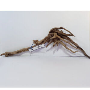 Raíz / Tronco Curado para Acuario N° 330 S