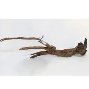 Raíz / Tronco Curado para Acuario N° 332 S