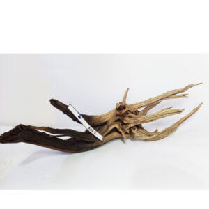 Raíz / Tronco Curado para Acuario N° 333 S