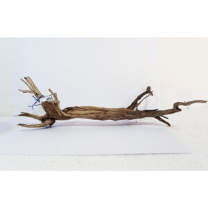 Raíz / Tronco Curado para Acuario N° 335 S