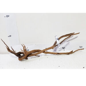 Raíz / Tronco Curado para Acuario N° 336 M