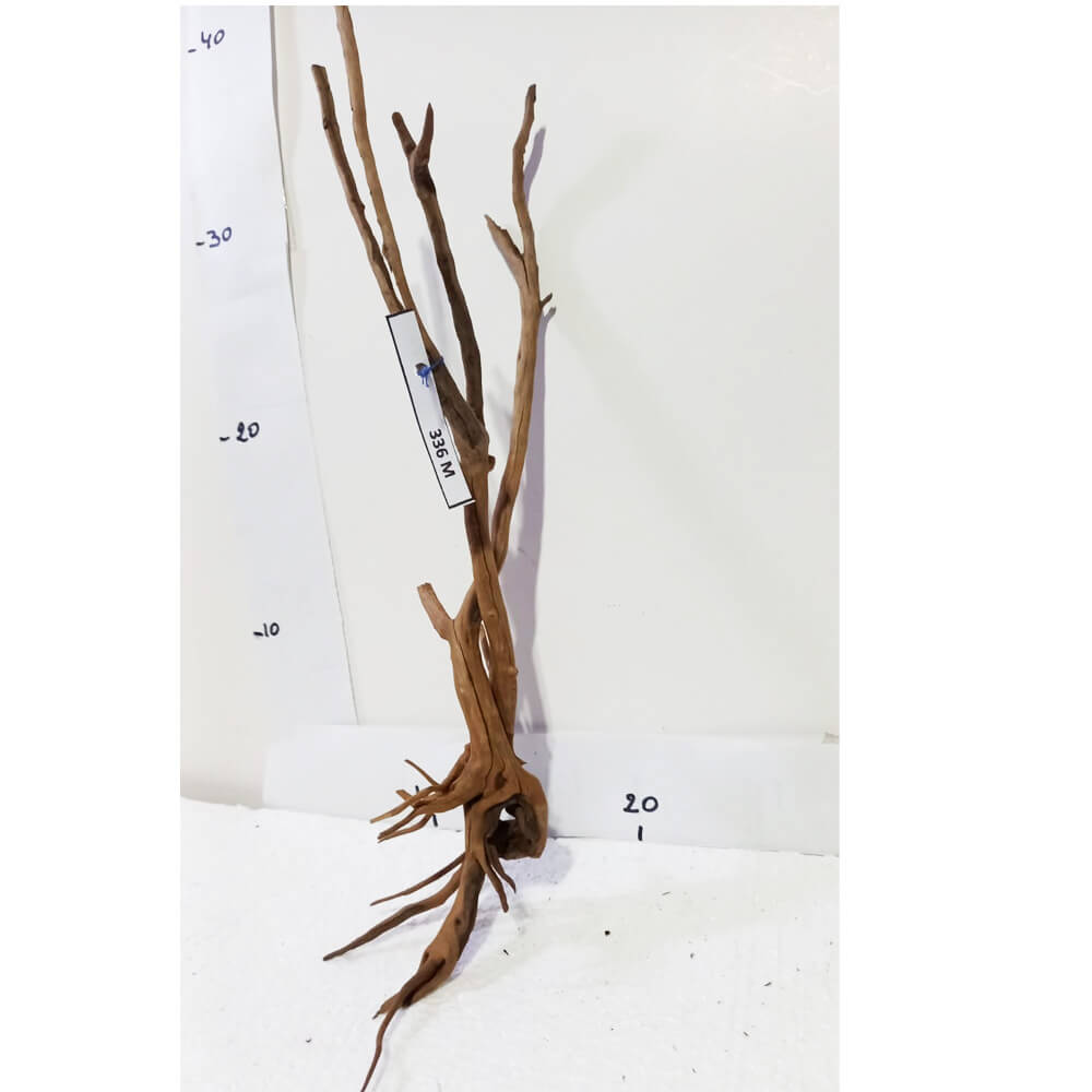 Raíz / Tronco Curado para Acuario N° 336 M - Image 2