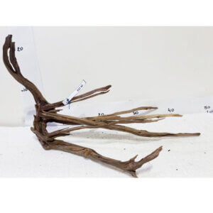 Raíz / Tronco Curado para Acuario N° 337 M