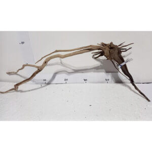 Raíz / Tronco Curado para Acuario N° 338 L