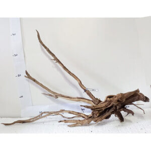 Raíz / Tronco Curado para Acuario N° 341 L