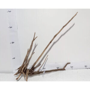 Raíz / Tronco Curado para Acuario N° 342 L