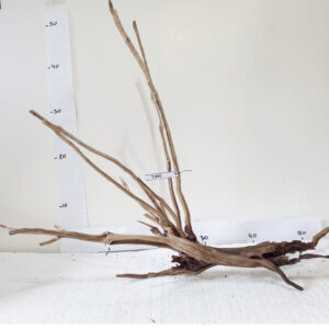 Raíz / Tronco Curado para Acuario N° 344 L