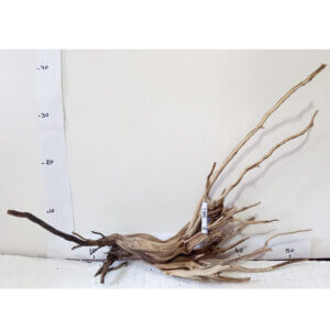 Raíz / Tronco Curado para Acuario N° 345 L