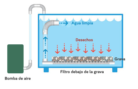 Esquema de instalación de filtro de placas biológicas bajo la grava con tubos extractores y piedra difusora.