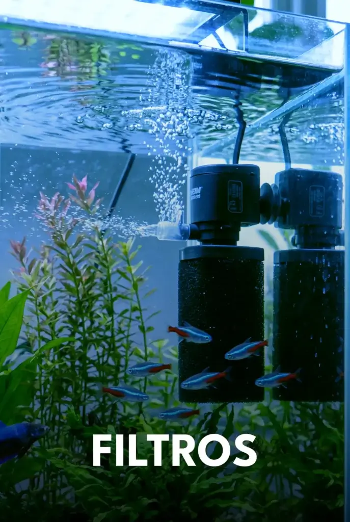 Sistemas de filtración para acuarios: filtros internos, de mochila y filtros canister externos.